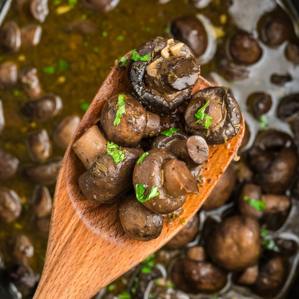 Easy Crockpot Mushrooms: Your Go-To Side Dish or Party Appetizer